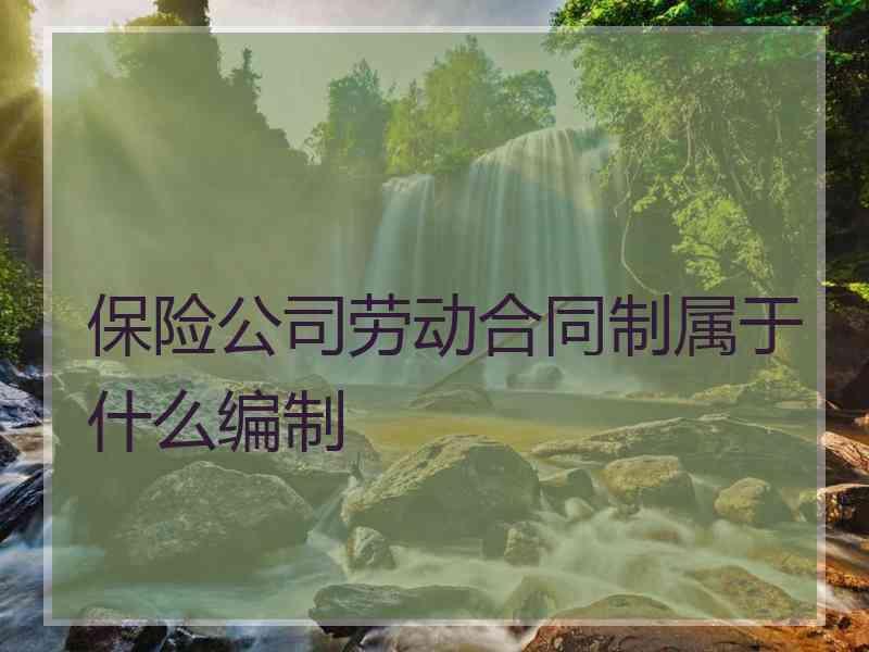保险公司劳动合同制属于什么编制