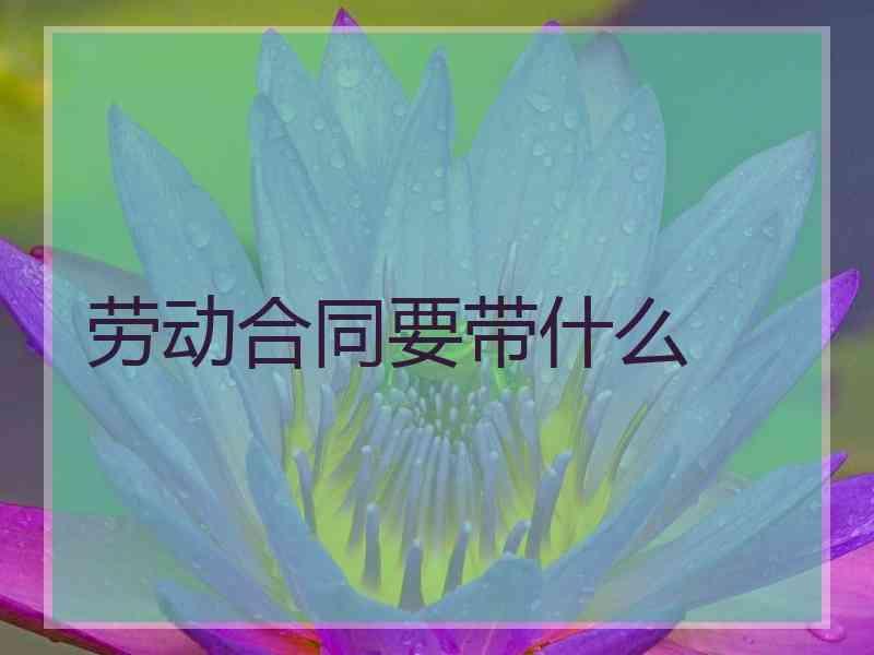 劳动合同要带什么