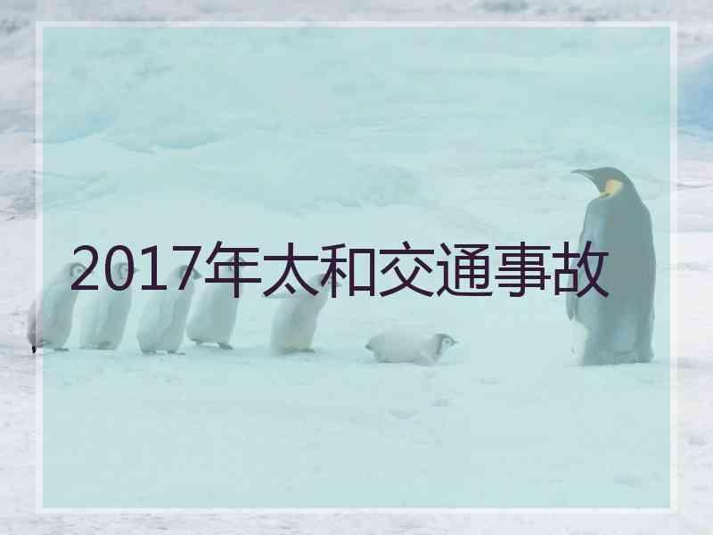 2017年太和交通事故