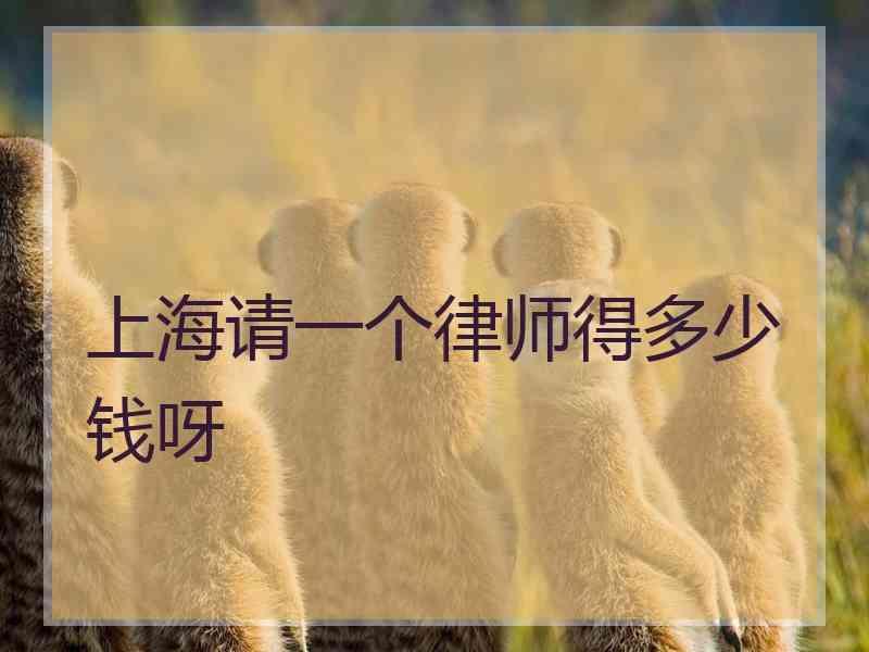 上海请一个律师得多少钱呀