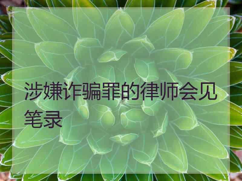 涉嫌诈骗罪的律师会见笔录