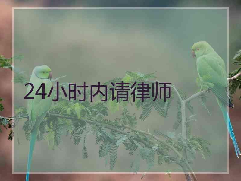 24小时内请律师