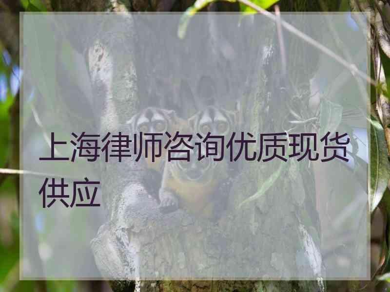 上海律师咨询优质现货供应