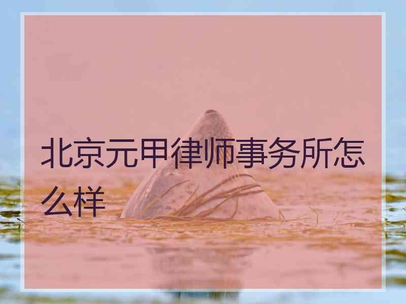 北京元甲律师事务所怎么样