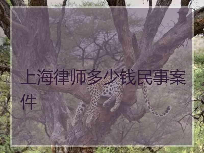 上海律师多少钱民事案件