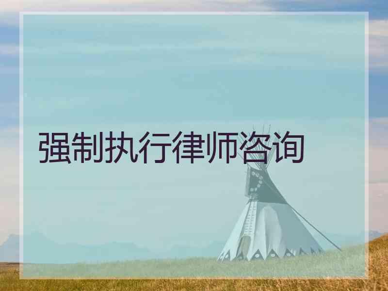 强制执行律师咨询