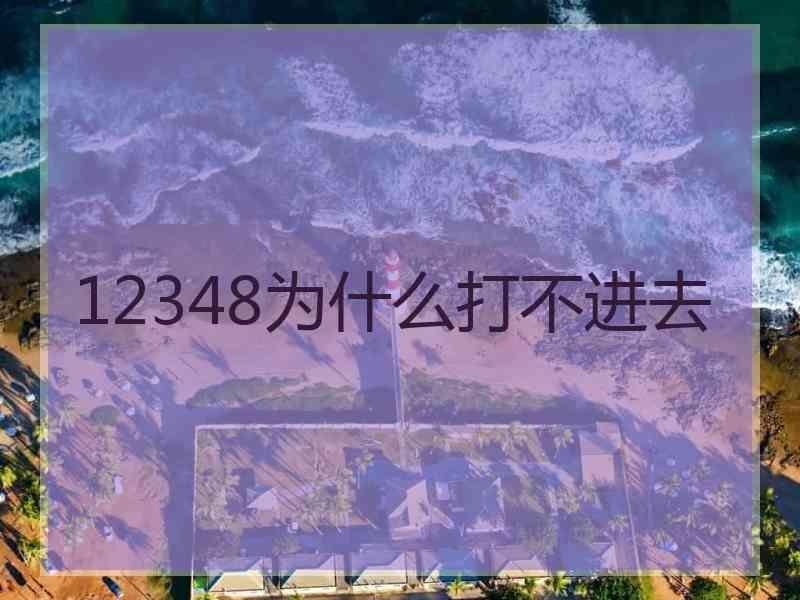 12348为什么打不进去