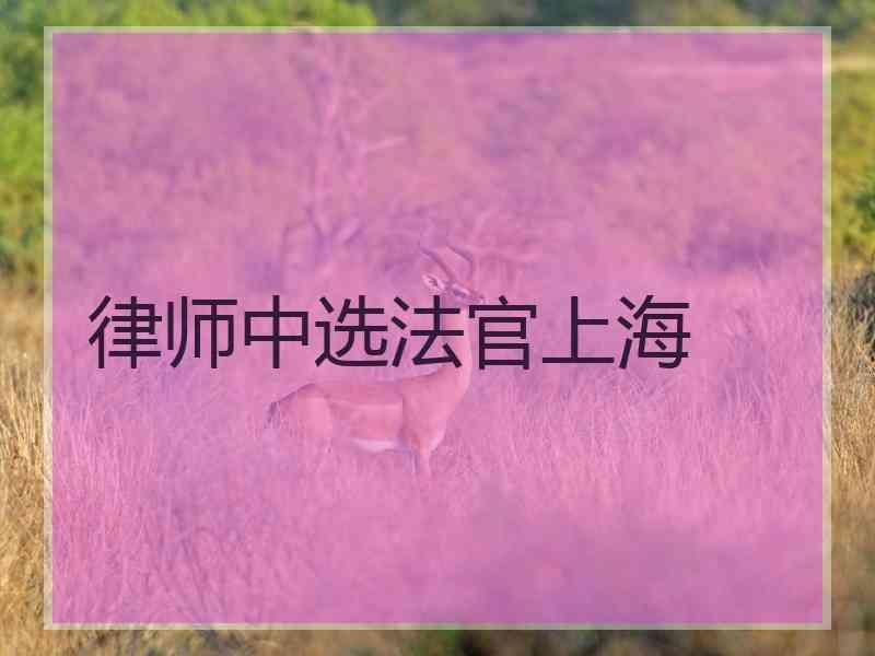 律师中选法官上海