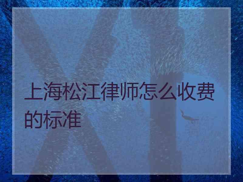 上海松江律师怎么收费的标准