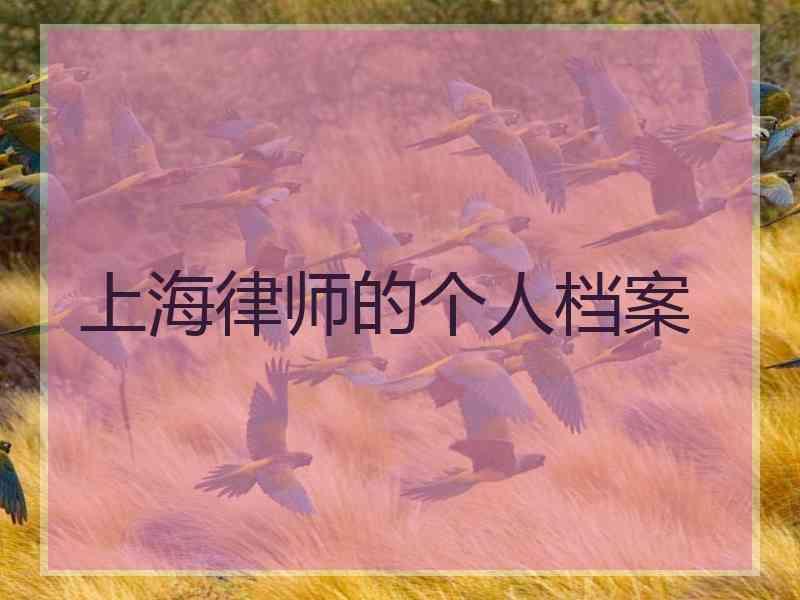 上海律师的个人档案