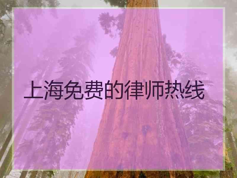 上海免费的律师热线