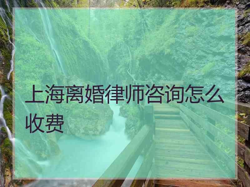 上海离婚律师咨询怎么收费