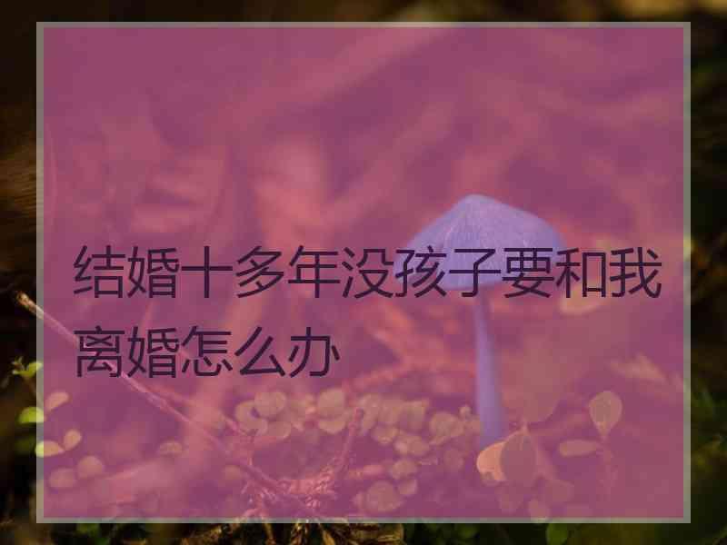 结婚十多年没孩子要和我离婚怎么办