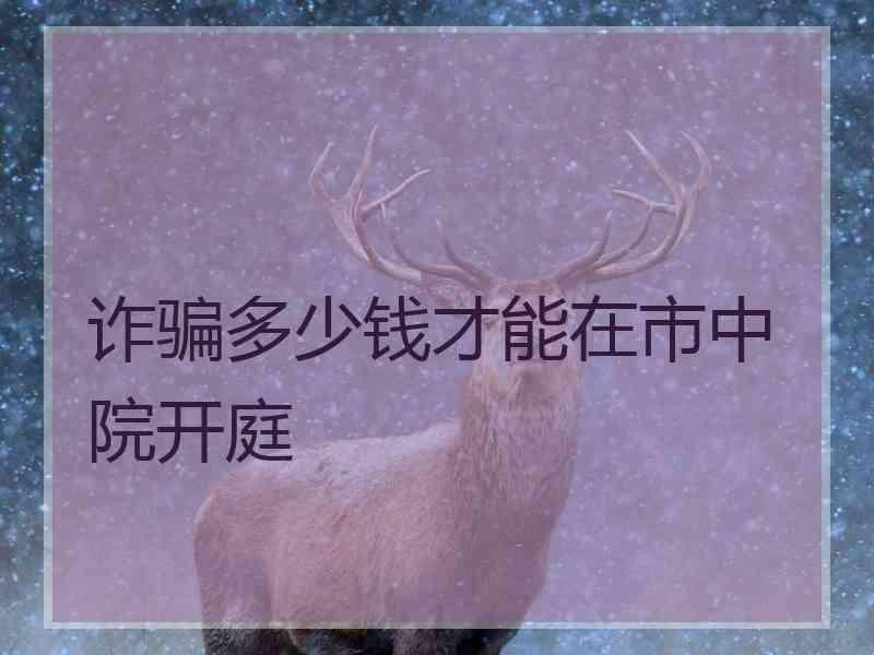 诈骗多少钱才能在市中院开庭