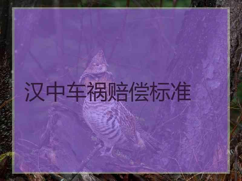 汉中车祸赔偿标准