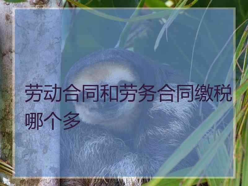 劳动合同和劳务合同缴税哪个多