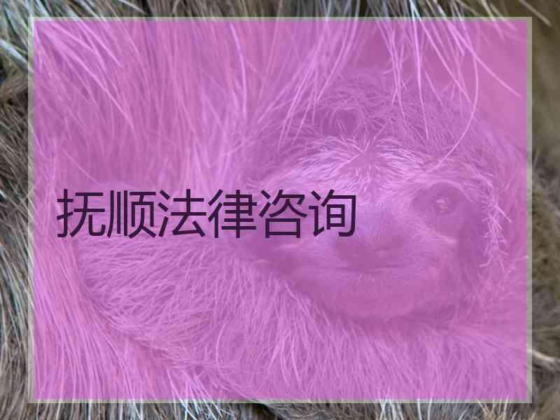 抚顺法律咨询