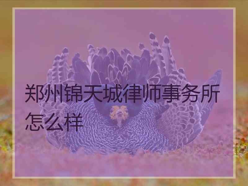 郑州锦天城律师事务所怎么样