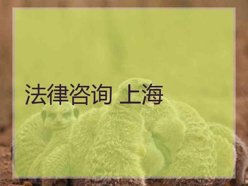 法律咨询 上海