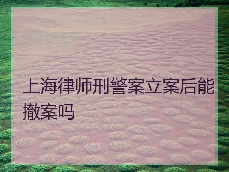 上海律师刑警案立案后能撤案吗