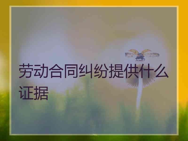 劳动合同纠纷提供什么证据