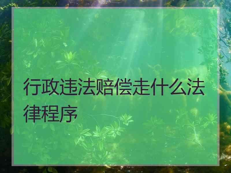 行政违法赔偿走什么法律程序