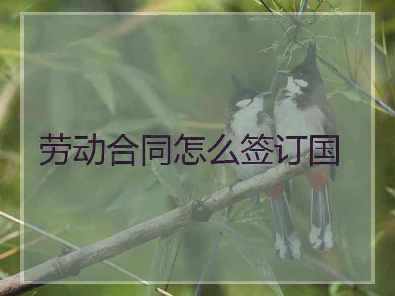 劳动合同怎么签订国