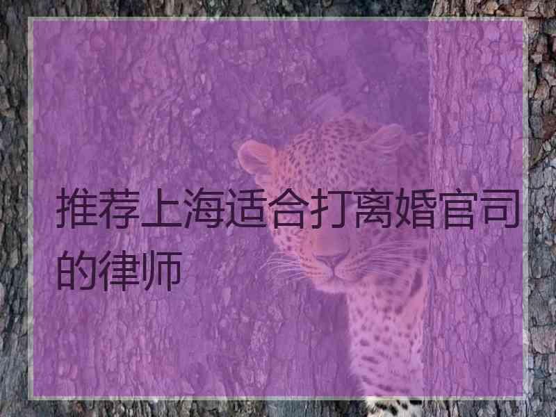 推荐上海适合打离婚官司的律师