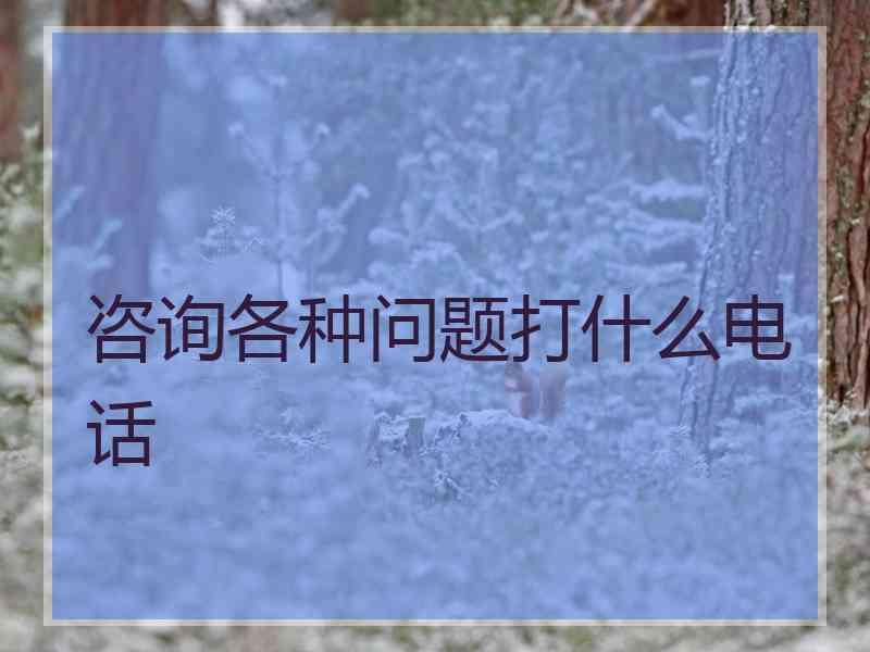 咨询各种问题打什么电话