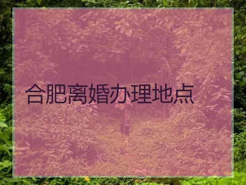 合肥离婚办理地点