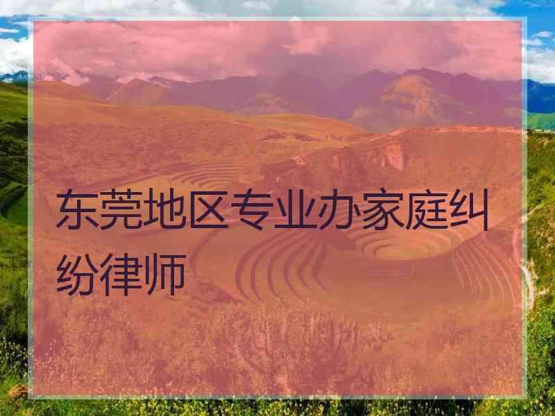 东莞地区专业办家庭纠纷律师