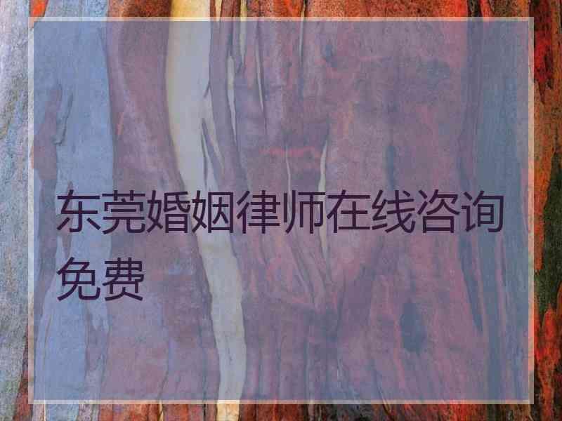 东莞婚姻律师在线咨询免费