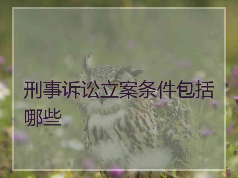 刑事诉讼立案条件包括哪些