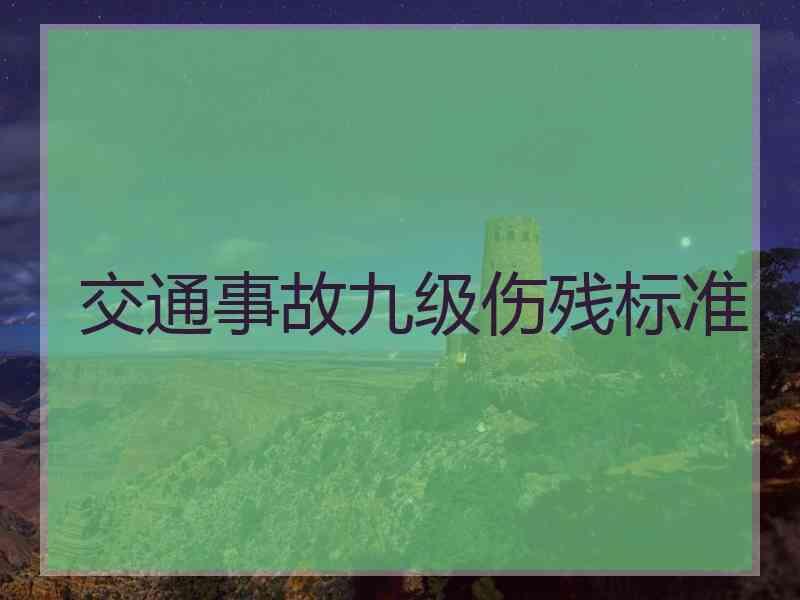 交通事故九级伤残标准