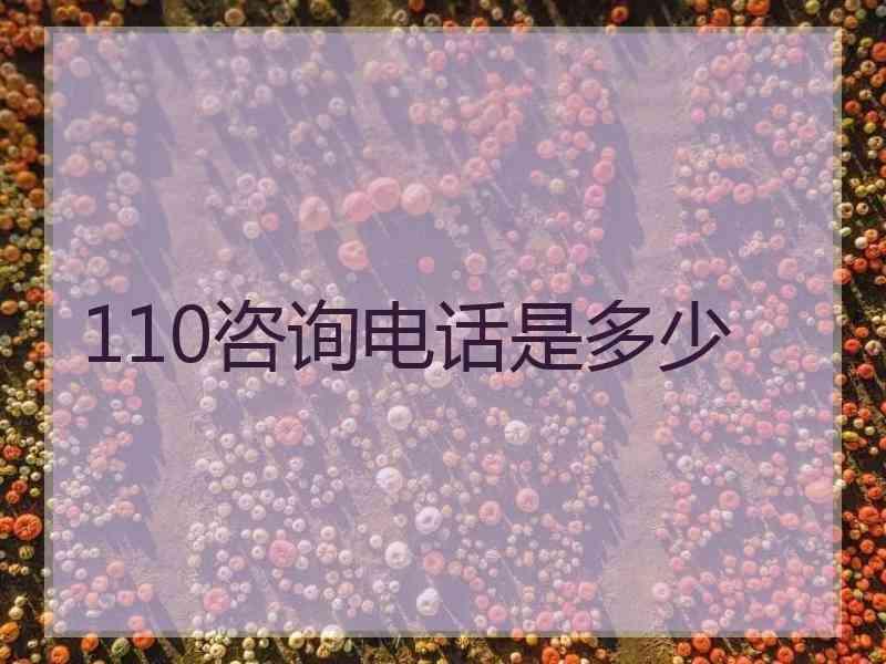 110咨询电话是多少