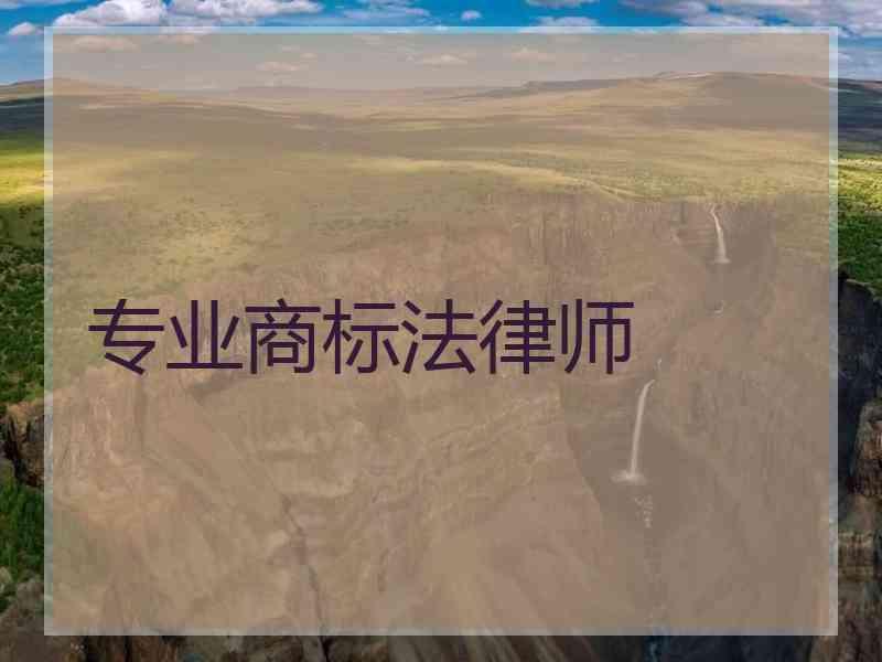 专业商标法律师