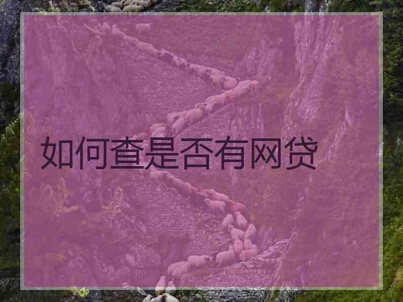 如何查是否有网贷