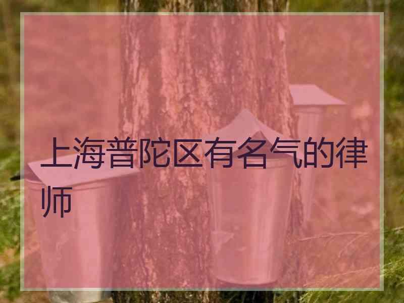 上海普陀区有名气的律师