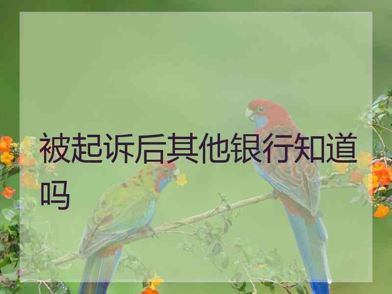 被起诉后其他银行知道吗