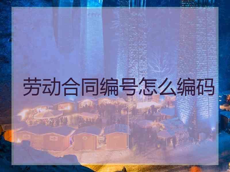 劳动合同编号怎么编码