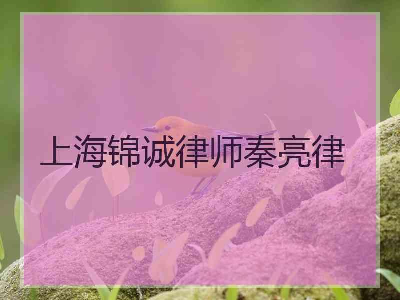 上海锦诚律师秦亮律