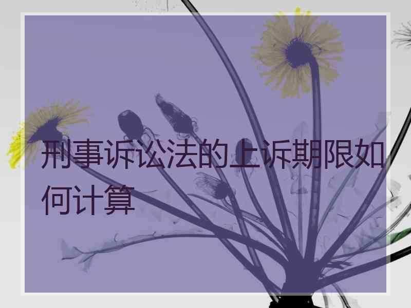 刑事诉讼法的上诉期限如何计算