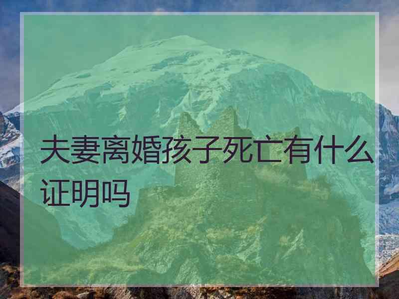 夫妻离婚孩子死亡有什么证明吗