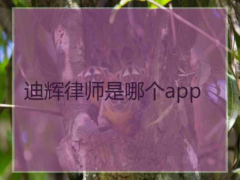 迪辉律师是哪个app