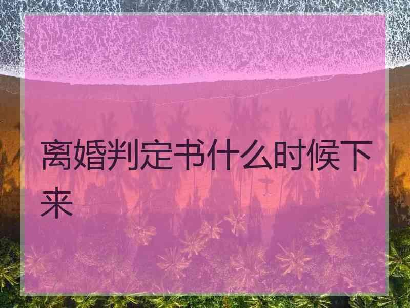 离婚判定书什么时候下来