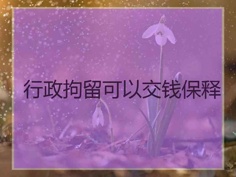 行政拘留可以交钱保释