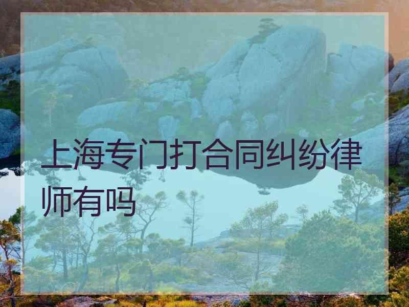 上海专门打合同纠纷律师有吗