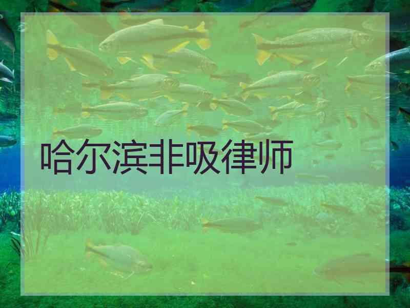 哈尔滨非吸律师