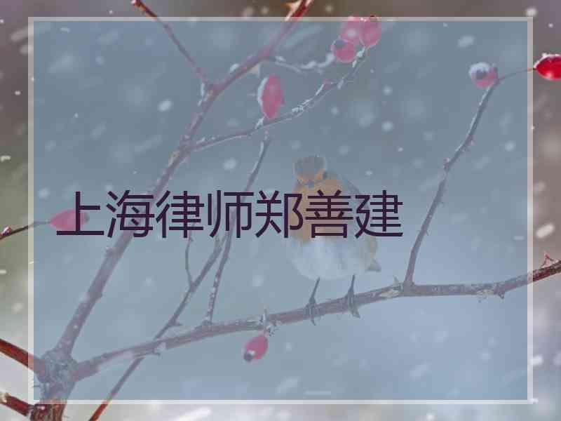 上海律师郑善建