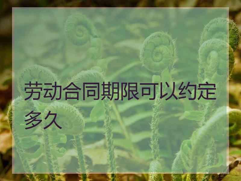 劳动合同期限可以约定多久